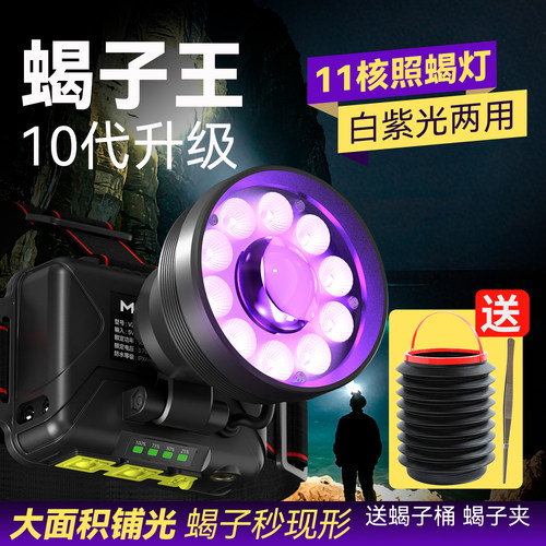新款蝎子灯照蝎子专用头灯紫光灯