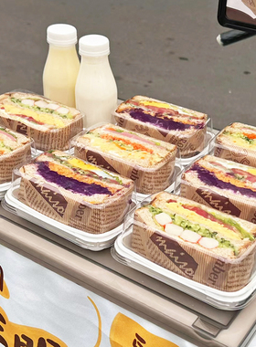 拿破仑蛋糕盒子加厚长方形三明治打包盒拿破仑盒子切块蛋糕打包盒