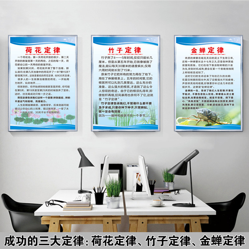 成功的三大定律荷花定律竹子定律金蝉定律企业文化海报宣传展板励志