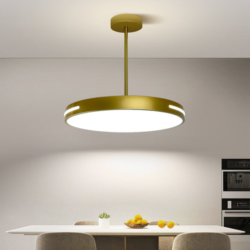 米琦珂现代简约铁艺吊灯可伸缩