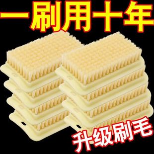 方形超软刷子洗衣服刷衣刷板刷家用洗鞋 洗羽绒服专用软毛刷多功能
