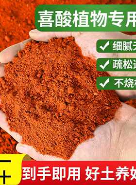 云南红土酸性种植土茶花杜鹃茉莉蓝莓喜酸植物专用土花卉通用盆栽