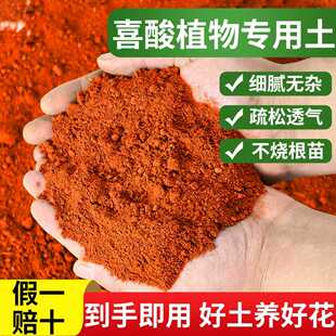 云南红土酸性种植土茶花杜鹃茉莉蓝莓喜酸植物专用土花卉通用盆栽