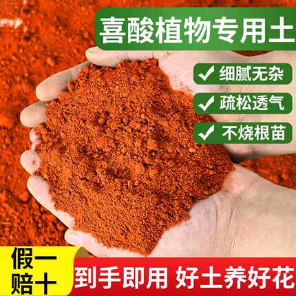 云南红土酸性种植土茶花杜鹃茉莉蓝莓喜酸植物专用土花卉通用盆栽