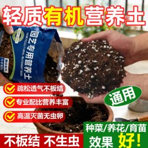 特惠不限量优质有机营养土