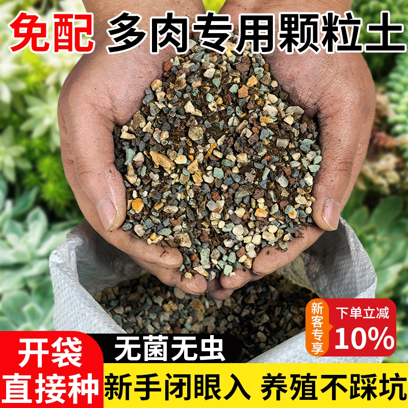 多肉颗粒土专用泥炭营养土叶插多肉专用纯颗粒盆栽铺面石颗粒花土