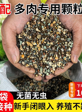 多肉颗粒土专用泥炭营养土叶插多肉专用纯颗粒盆栽铺面石颗粒花土