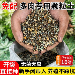 多肉颗粒土专用泥炭营养土叶插多肉专用纯颗粒盆栽铺面石颗粒花土
