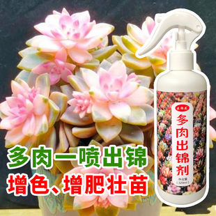 金枝玉叶出锦药专用增红变色剂多肉增色变红上色免稀释营养液