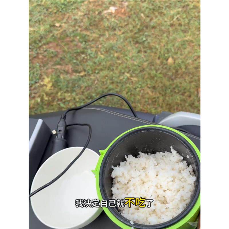 迷你车载电饭煲家用多功能宝宝辅食宿舍小型微压12V24V蒸煮便携式