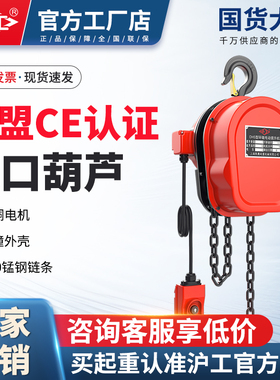 沪工环链电动葫芦380V1/2/3/5吨10t群吊机电动葫芦倒链提升机220v