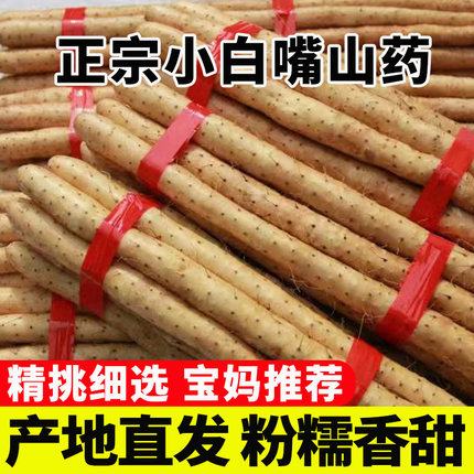 铁棍山药河北小白嘴新鲜5斤铁杆淮山药毛山药非河南焦作垆土山药