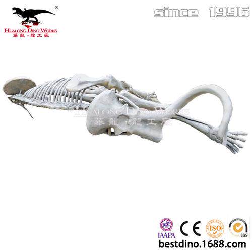 远古猛犸象骨骼化石美陈教学展品玻璃钢制品仿真动物仿真恐龙厂家