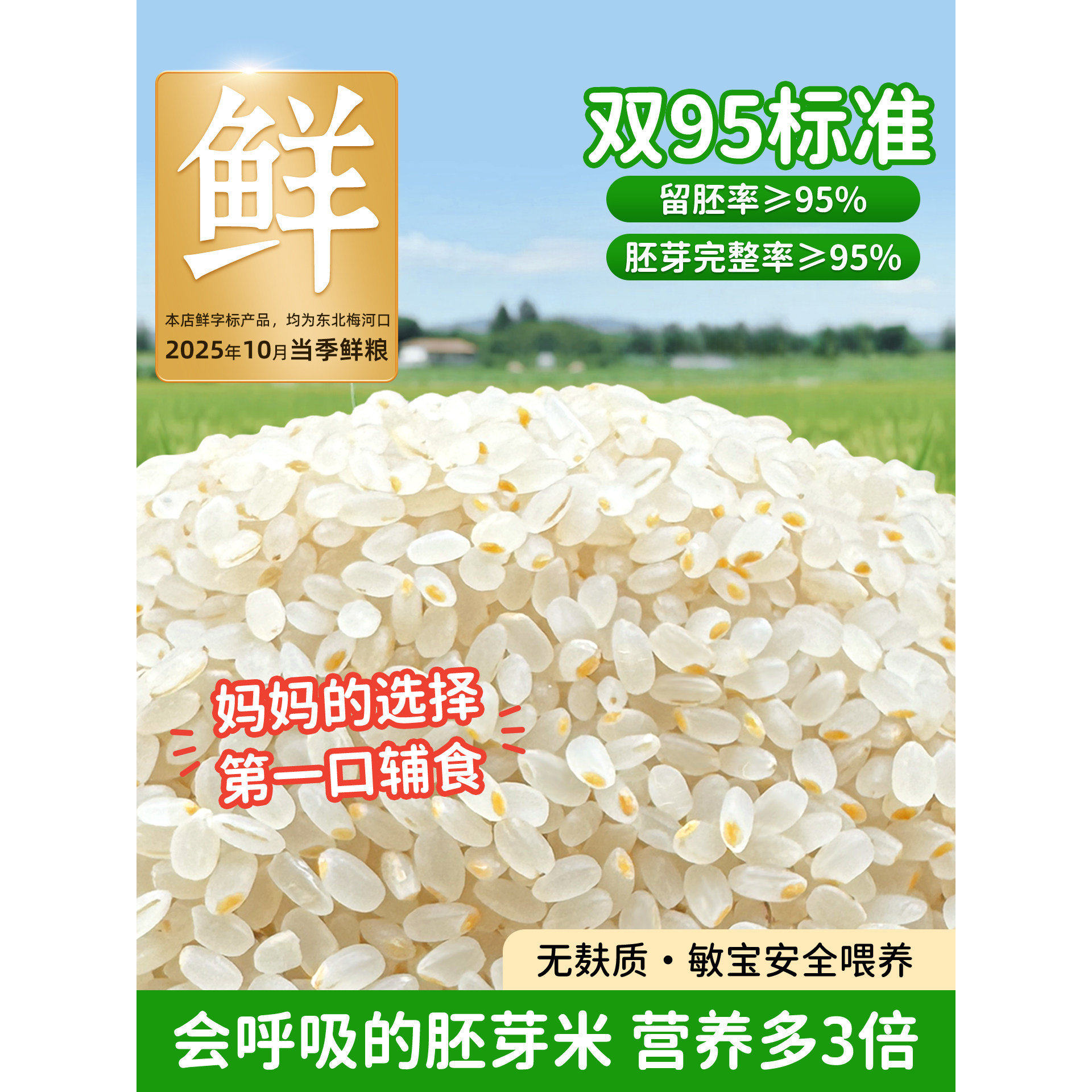 有机胚芽米大新米圆粒粳米小孩辅食熬米汤现碾磨零添加官方旗舰店