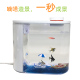 小鱼未来嘀嗒造景小鱼缸整体方便布置快速成景简单好清洗微景观