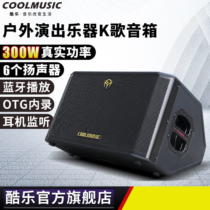 300瓦真实功率户外音箱