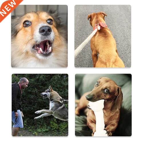 Ultrasonic Dog Bark Deterrent Barking Control Device 2 in 1