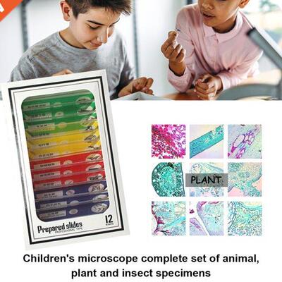 12pcs Biological Specimen Set Animals Hair Plants Insects Ve