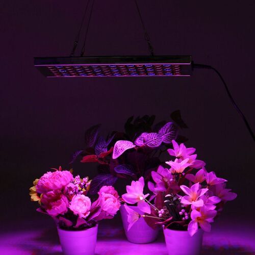 6000W LED Grow Light Panel Full Spectrum Phyto Lamp AC85-265