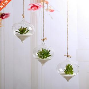 Transparent Clear Wall Hanging Glass Vase Terrarium Plants F