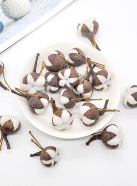 12Pcs Artificial Kapok Head Natural Dried Flower Cotton Swab