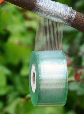 100M Roll High Quality Grafting Tape Stretchable Self Adhesi
