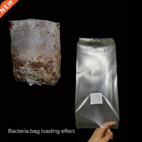 Root Mushroom Farm Mushroom Growing Bags Micron Filter Pyp