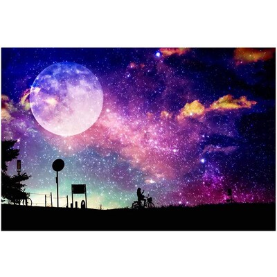 DIY Diamond Painting Kits for Adults,Full Drill Crystal Rhin