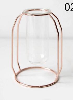 Nordic Golden Glass Vase Iron Hydroponic Plant Flower Vase T