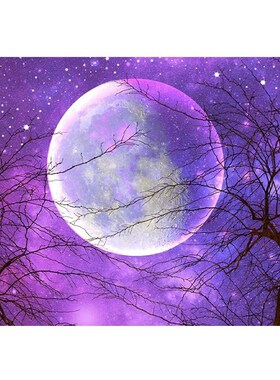 Round Diamond Full Diamond Diamond Painting Set DIY Set