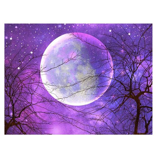 Round Diamond Full Diamond Diamond Painting Set DIY Set