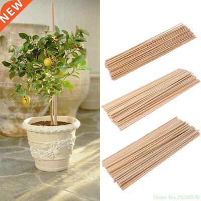 2019 New 50 Wooden Plant Grow Support Bamboo Plant Stcks Ga