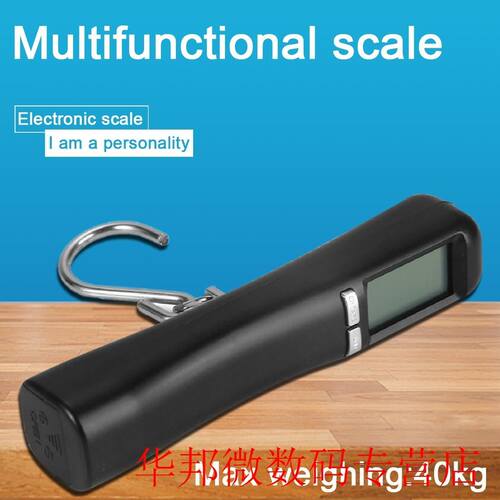40kgx10g Hanging Digital Scale for Fishing Luggage Travel We