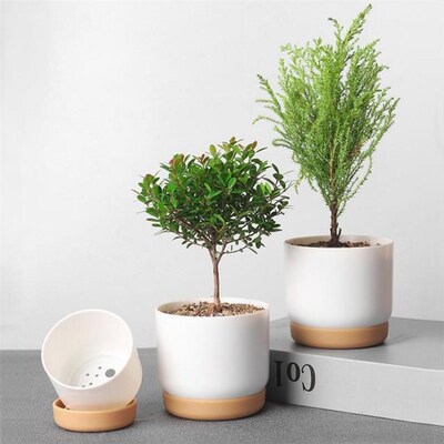 Automatic Water-Absorbing Succulent Plant Pot Double Layer S