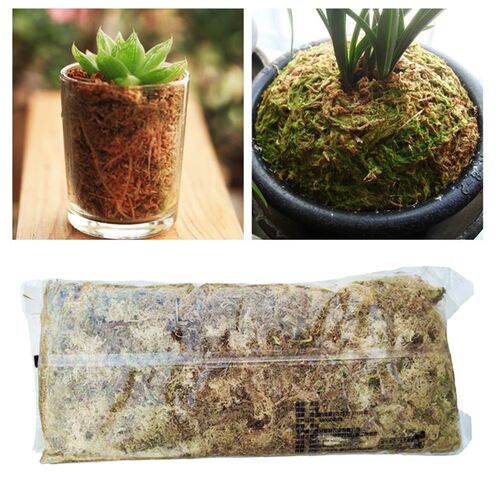 12L Dry Sphagnum Moss Succulents for Potted Plants Soilless