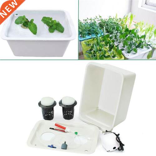 220V Plant Site Hydroponic System 2 Holes Indoor Garden Cabi