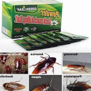 10pcs cockroach killer green leaves qing baits kill german r