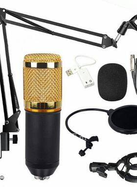 karaoke microphone studio condenser mic For KTV Radio raodc