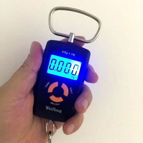 Portable Electronic Scale 45KG 10g Mini Travel Luggage Fishi