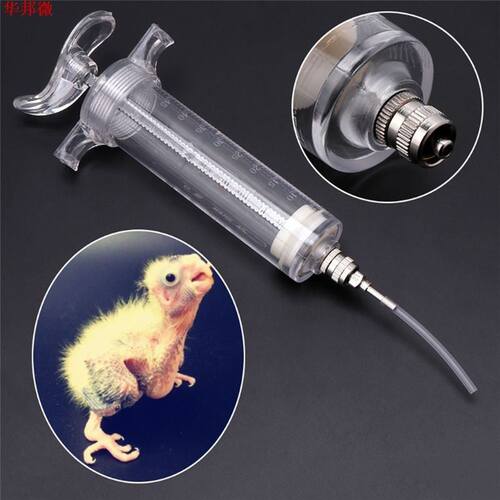 Oiseau Transparent fournitures mangeoire oiseau alimentation