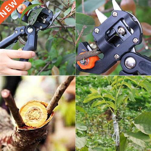 Professional Nursery Grafting Tool Orchard Pruning Shears Ga