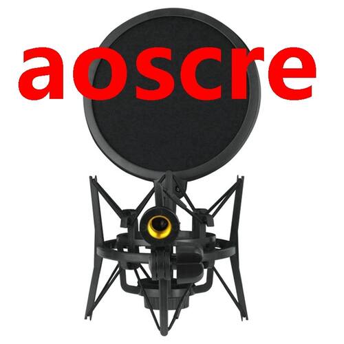 Professional Microphone Mic Shock Mount with Blowout Guard