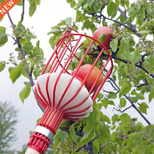 1pc Garden Tools Metalic Fruit Picker Gardening Fruits Colle