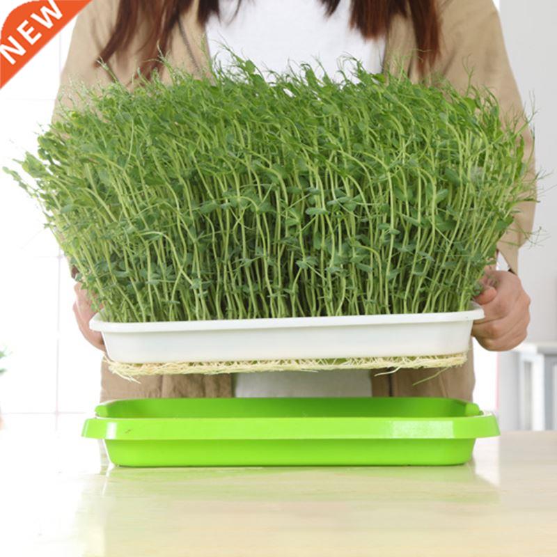 Seed Sprouter Tray wth Ld BPA Free Bean Sprout Grower Spro