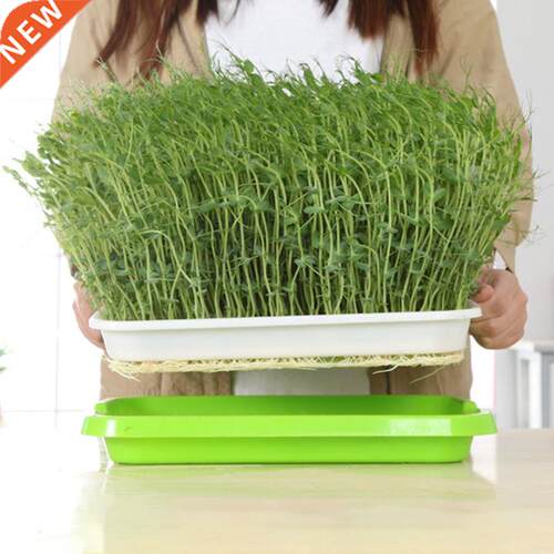 Seed Sprouter Tray wth Ld BPA Free Bean Sprout Grower Spro