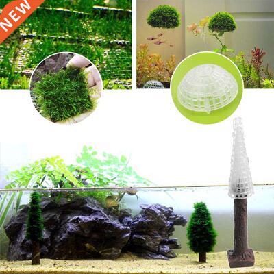 Moss Bed / Ball / Christmas e for aquarium moss water plants