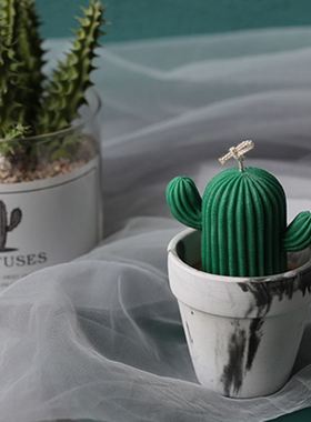 Silicone Mold Aromatherapy Cactus Candle Mousse Mold Soap Su