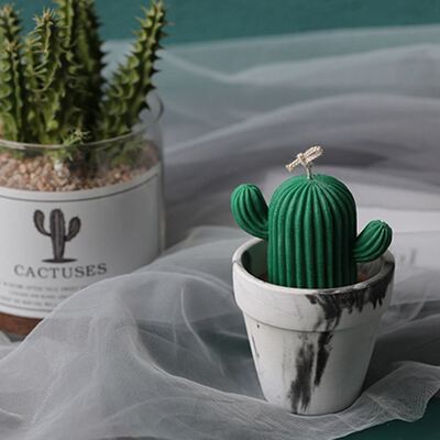 Silicone Mold Aromatherapy Cactus Candle Mousse Mold Soap Su