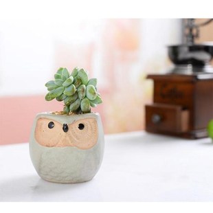 6pcs Ceramic Owl Flower Pots Planters Flowing Glaze Base Ser