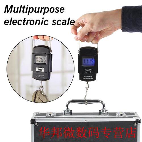 Scale Hook Fish Weight Mini Hanging Scale Pocket Portable 50